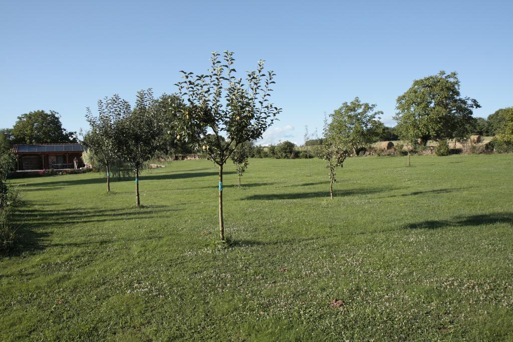 Gites De Lez Laguépie Exterior photo